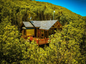 Cozzy Cabin at 